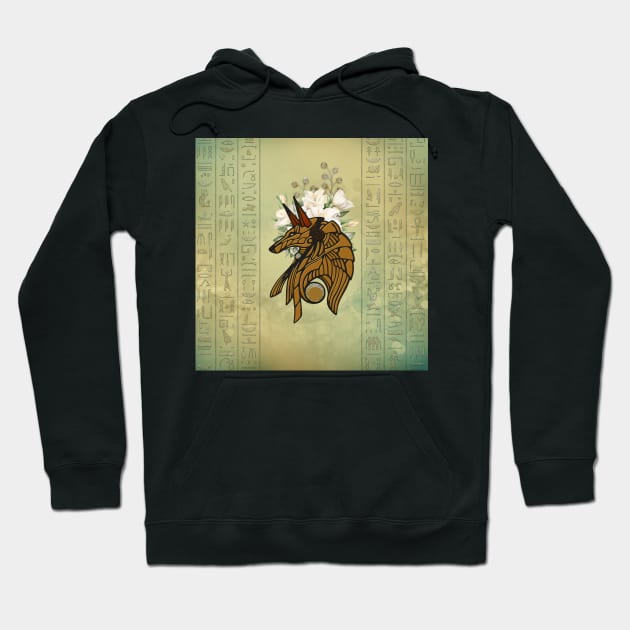 Anubis represented as a jackal Hoodie by Nicky2342